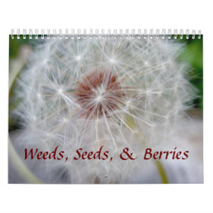 Calendário - Sementes e Berries de ervas daninhas