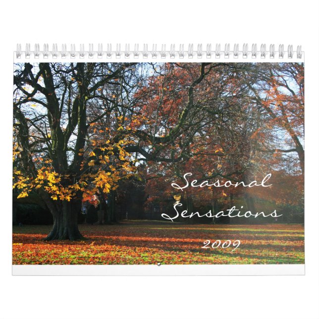 Calendário Sensações sazonais 2009 (Capa)