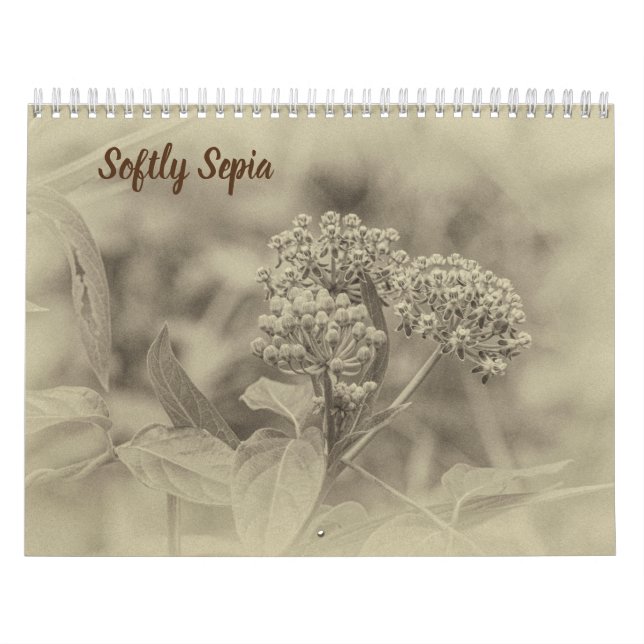 Calendário Sepia Suave (Capa)