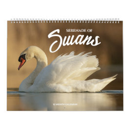 Calendário Serenata dos Cisnes