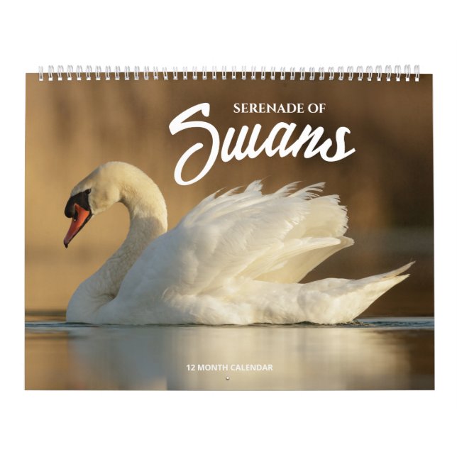Calendário Serenata dos Cisnes (Capa)
