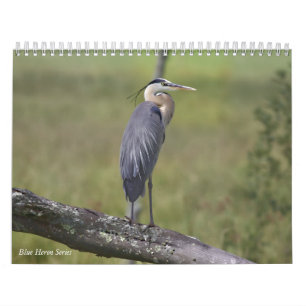 Calendário Série azul da garça-real