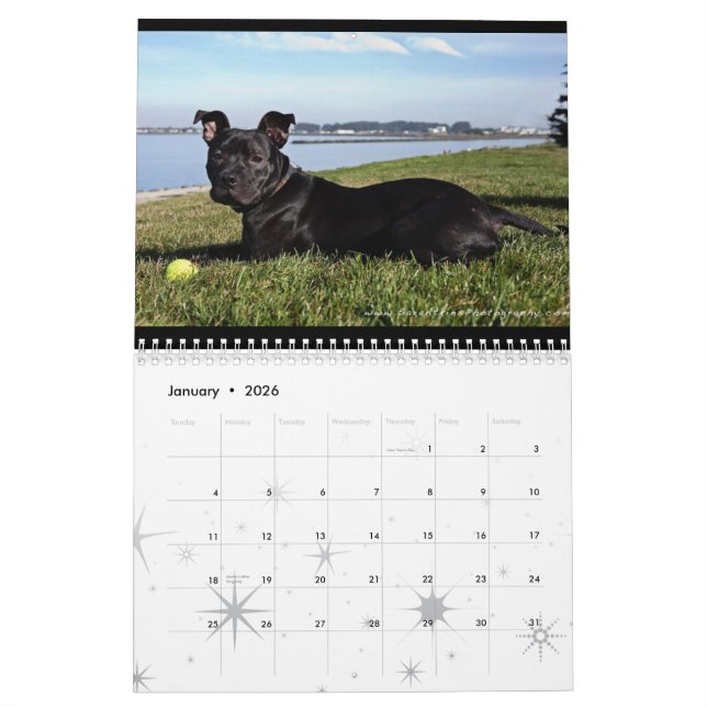 Calendário Serviços animais de Oakland - 2010 (Jan 2026)