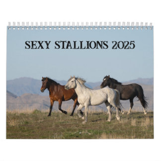 Calendário Sexy Stallions 2025