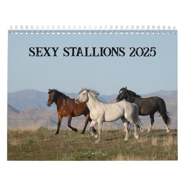 Calendário Sexy Stallions 2025 (Capa)
