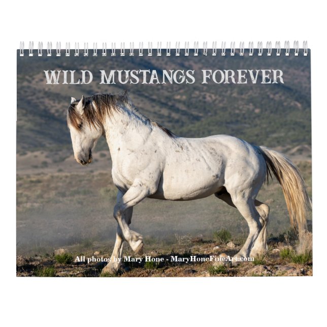 Calendário Sexy Stallions 2025 (Verso)
