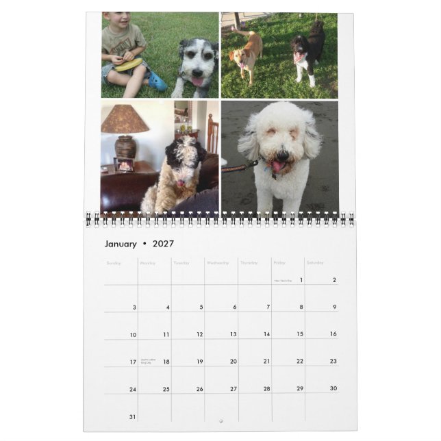 Calendário Sheepadoodle 2014-2015 (Jan 2027)
