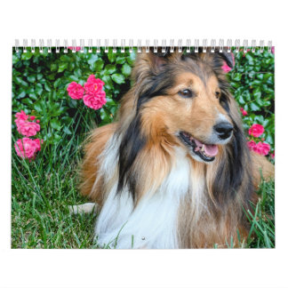 Calendário Sheltie 2026