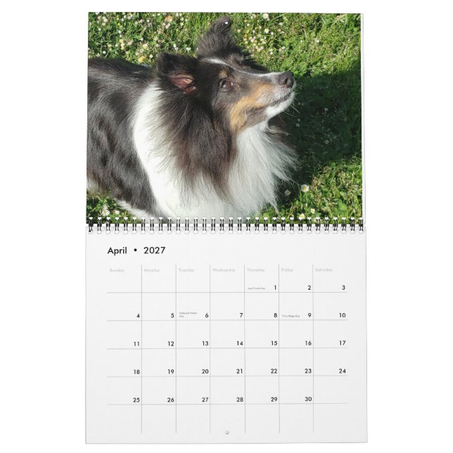 Calendário Sheltie Calendar 2024 (Abr 2027)