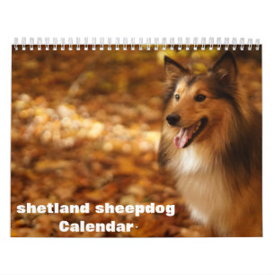 Calendário Shetland Sheepdog 2025