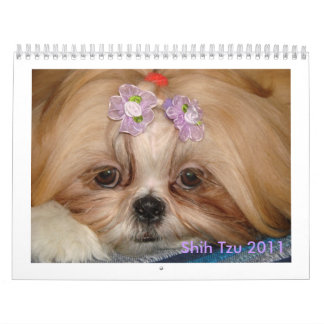 Calendário Shih Tzu