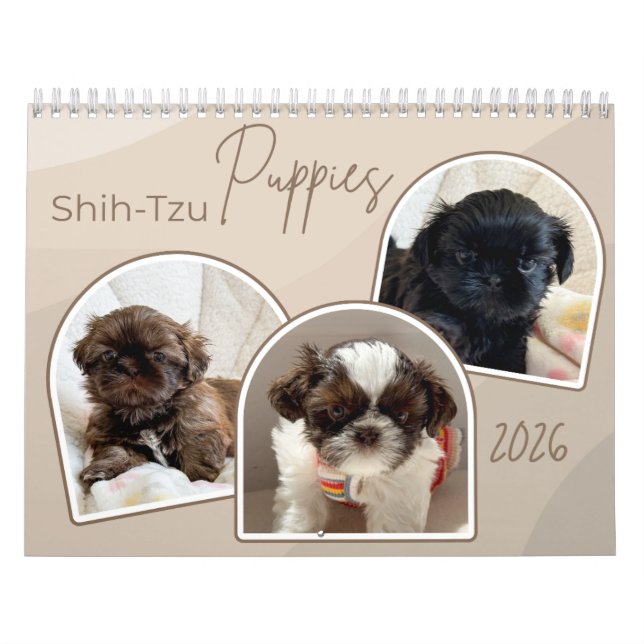 Calendário Shih-Tzu Puppies Photo Collage Calendar (Capa)
