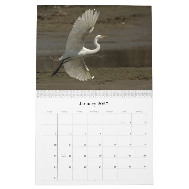 Calendário Shorebirds - 2010 (Jan 2027)