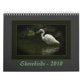 Calendário Shorebirds - 2010
