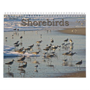 Calendário Shorebirds atlânticos