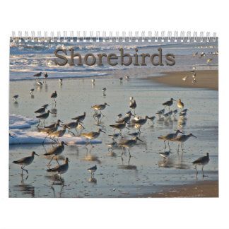 Calendário Shorebirds atlânticos