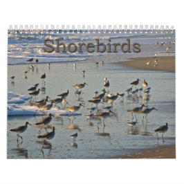 Calendário Shorebirds atlânticos