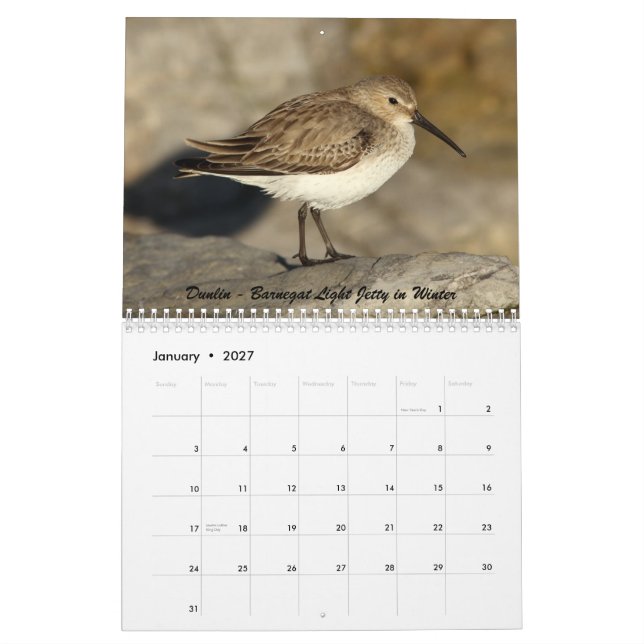 Calendário Shorebirds de New-jersey (Jan 2027)