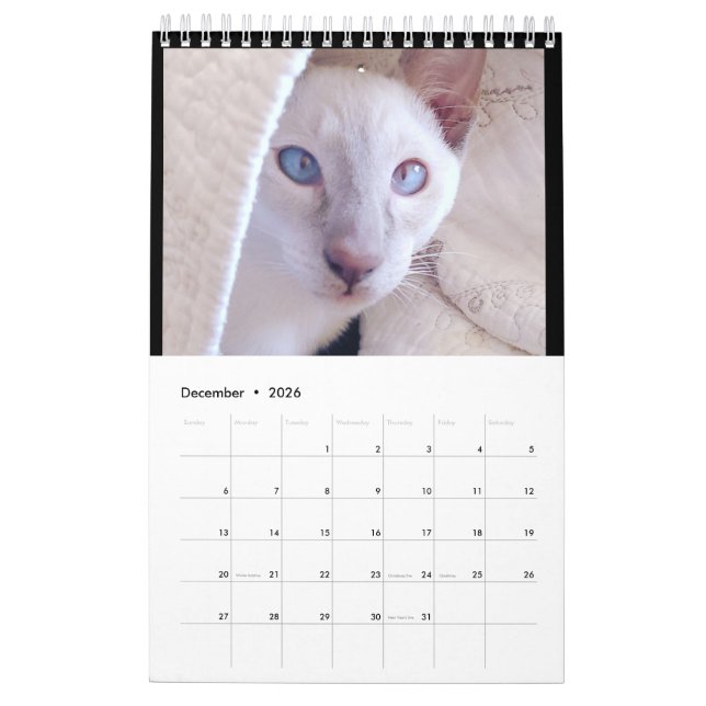 Calendário Siamese Cats Calendar (Dez 2026)