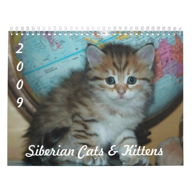 Calendário Siberian 2009 dos GATOS (Capa)