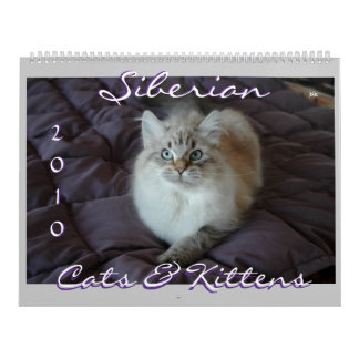 Calendário Siberian B dos gatos & dos gatinhos