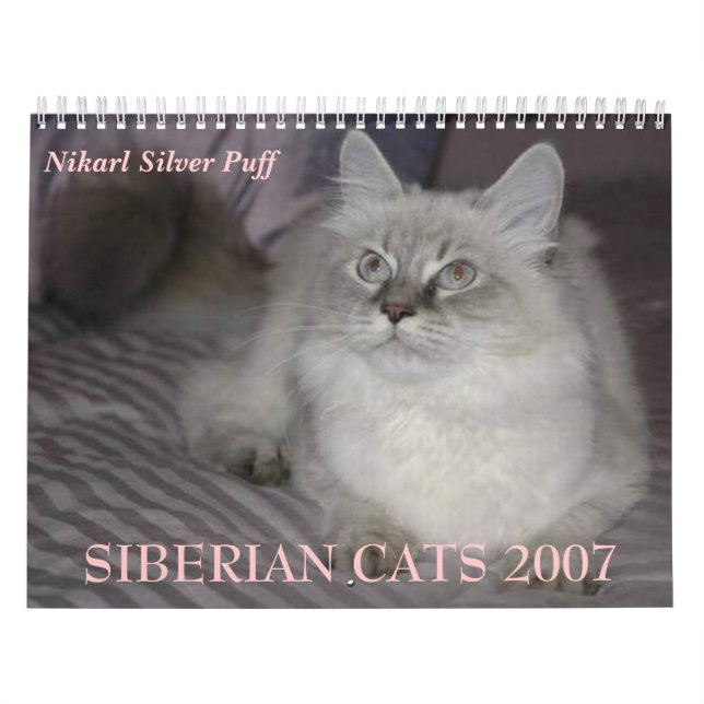 Calendário SIBERIAN dos GATOS 2007… (Capa)