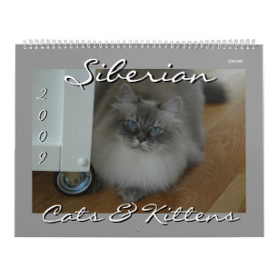Calendário Siberian Final2 dos gatos e dos