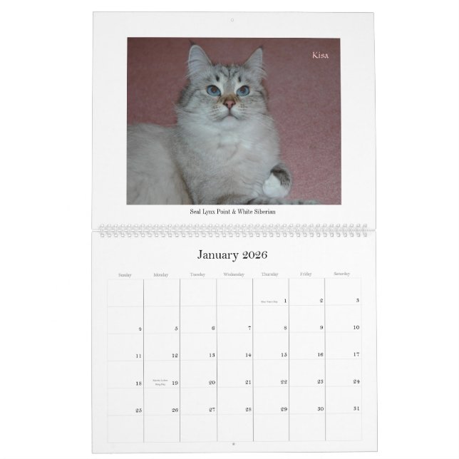 Calendário Siberian Final2 dos gatos e dos (Jan 2026)