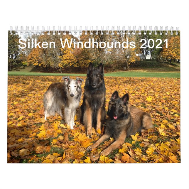 Calendário Silken Windhounds 2021 - With Friends calendar (Capa)