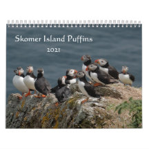 Skomer Island Puffins 2021 Wales