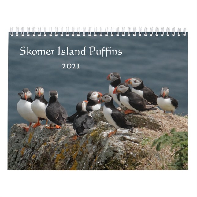 Calendário Skomer Island Puffins 2021 Wales (Capa)