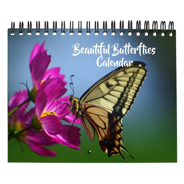 Calendário Small Size Beautiful Butterflies Calendar (Capa)