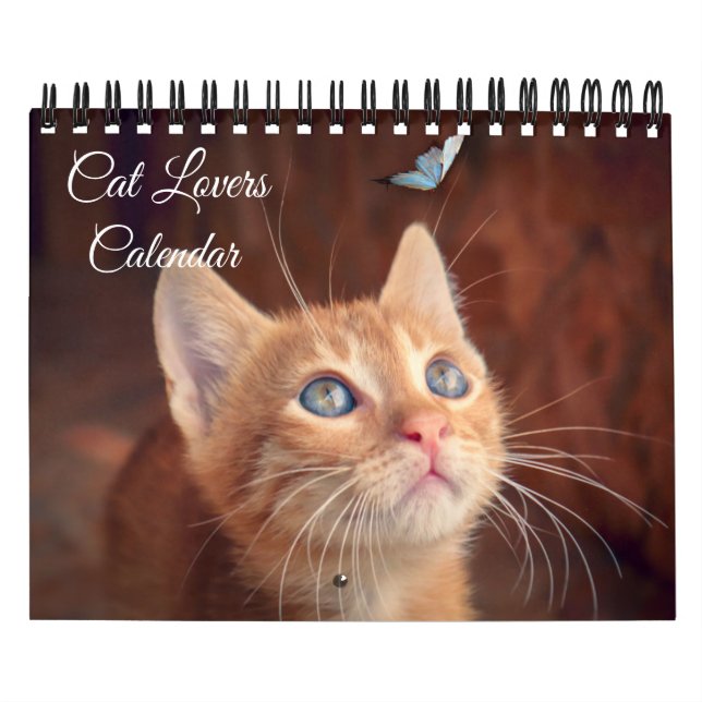 Calendário Small Size Cat Lovers Calendar (Capa)