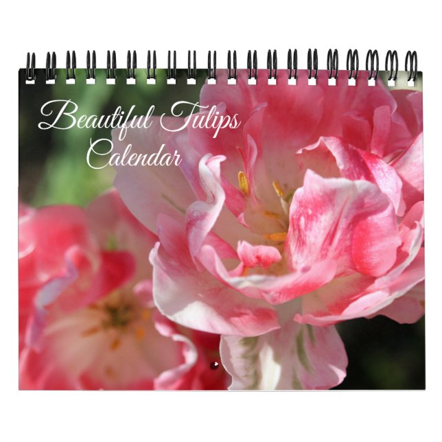 Calendário Small Size Tulips Calendar (Capa)