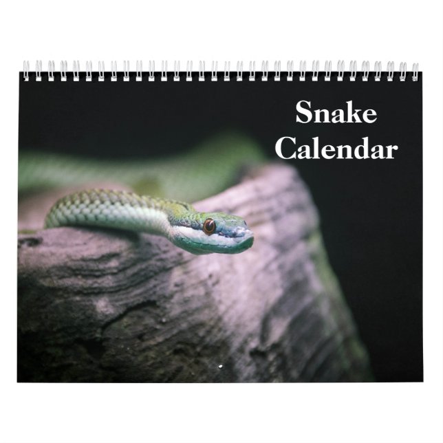 Calendário Snake Calendar 2026 (Capa)