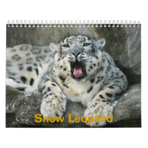 Calendário SnowLeopardBCR007, leopardo de neve