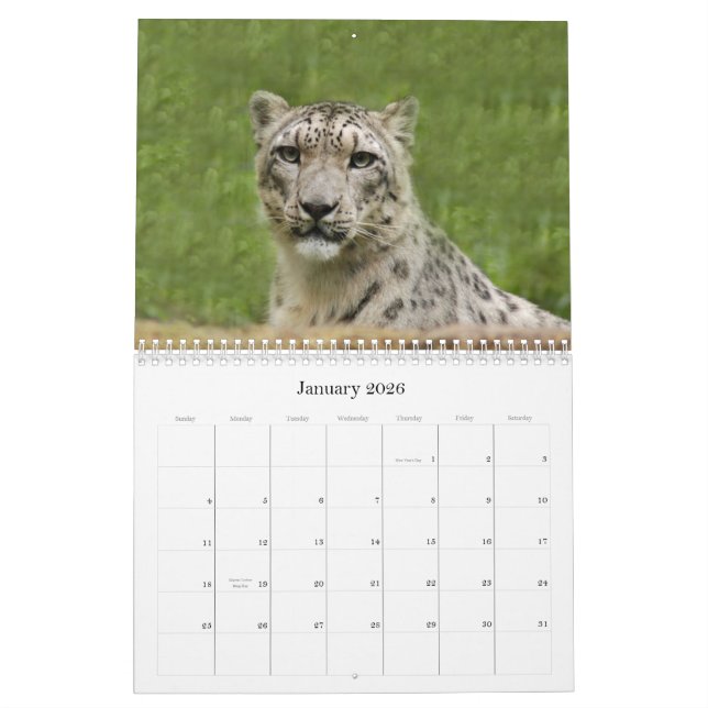 Calendário SnowLeopardBCR012, leopardo de neve (Jan 2026)