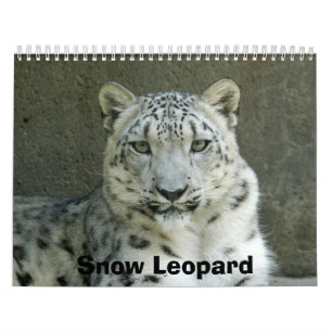 Calendário SnowLeopardM002, leopardo de neve