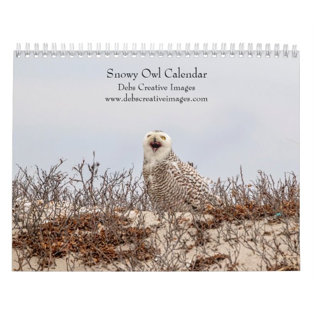 Calendário Snowy Owl 2026 (Capa)