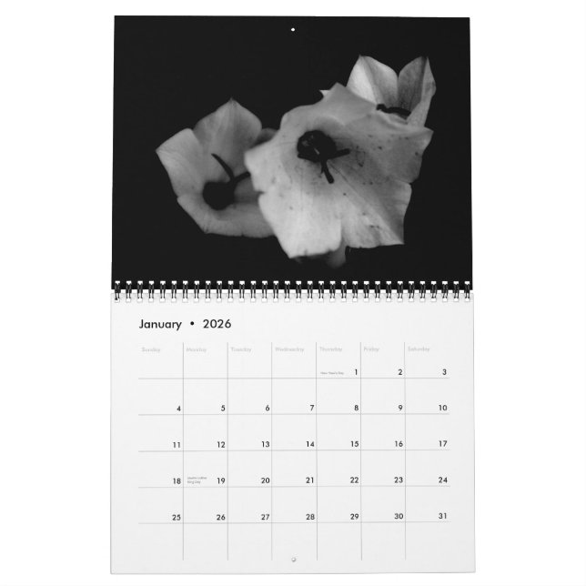 Calendário Sombras (Jan 2026)