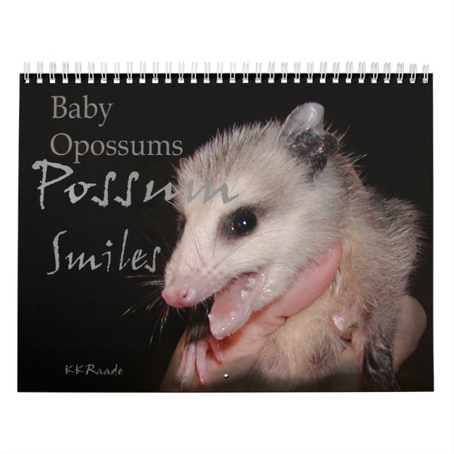 Calendário Sorrisos do gambá (Capa)