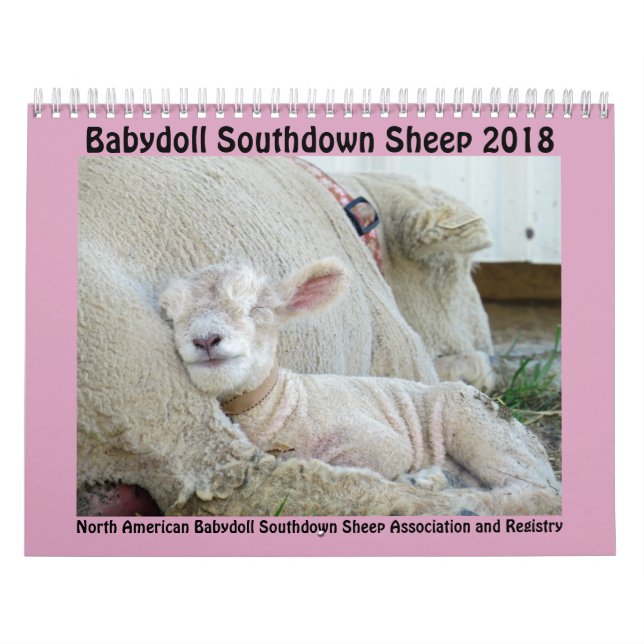 Calendário Southdown de 2018 carneiros da boneca (Capa)