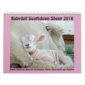 Calendário Southdown de 2018 carneiros da boneca