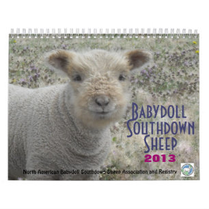 Calendário Southdown dos carneiros 2013 NABSSAR da