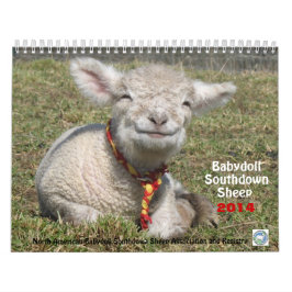 Calendário Southdown dos carneiros 2014 NABSSAR da