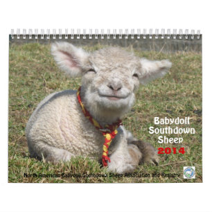 Calendário Southdown dos carneiros 2014 NABSSAR da