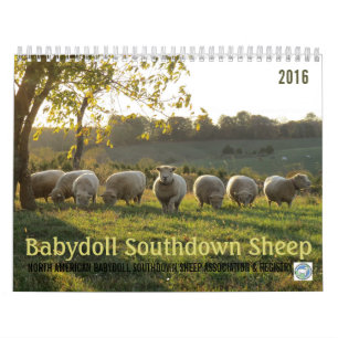 Calendário Southdown dos carneiros 2016 NABSSAR d