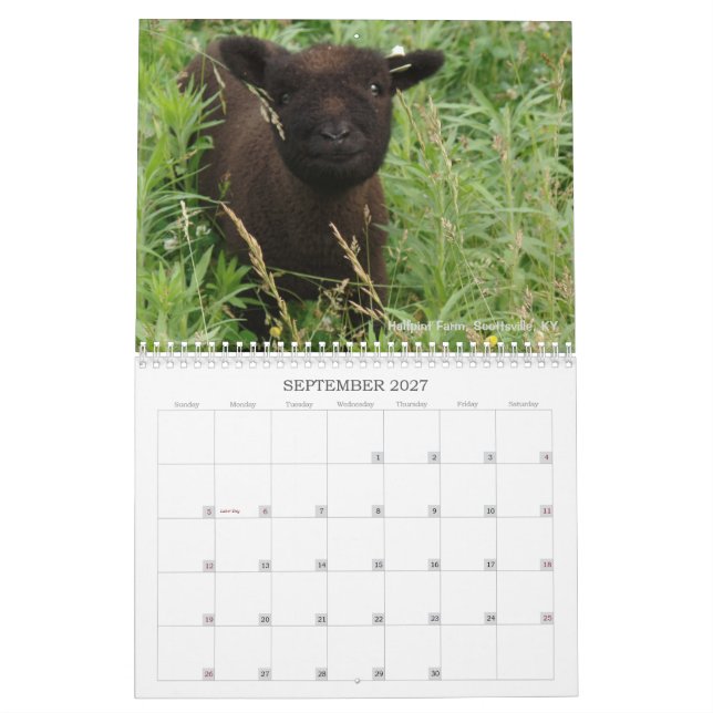 Calendário Southdown dos carneiros 2017 NABSSAR da (Set 2027)