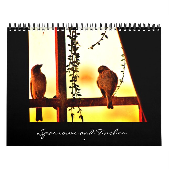 Calendário Sparrows e Finches (Capa)