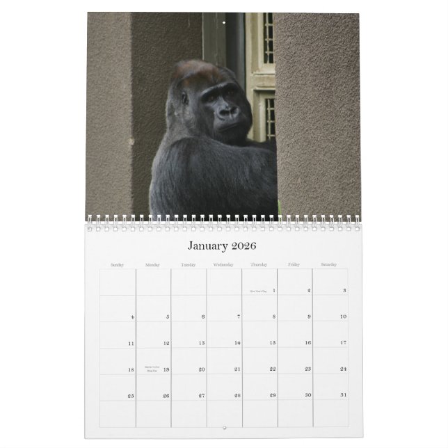 Calendário Sr. Silverback (Jan 2026)